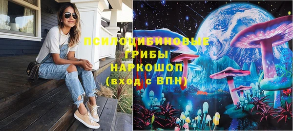 МДПВ Алексеевка